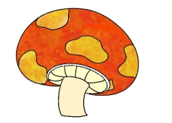 蘑菇简笔画 涂色 蘑菇简笔画好看 蘑菇简笔画好看画法